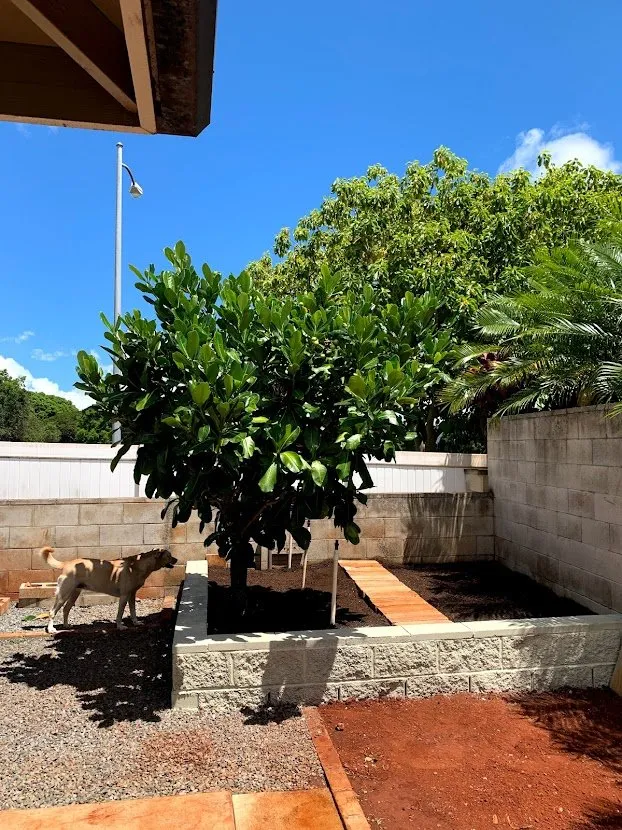 Affordable outdoor landscaping in Mililani, HI - Maika'i Masonry Contractor