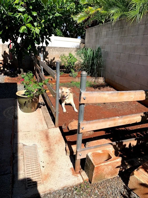 Custom lawn mowing service for year-round maintenance in Mililani, HI by Maika'i Masonry Contractor
