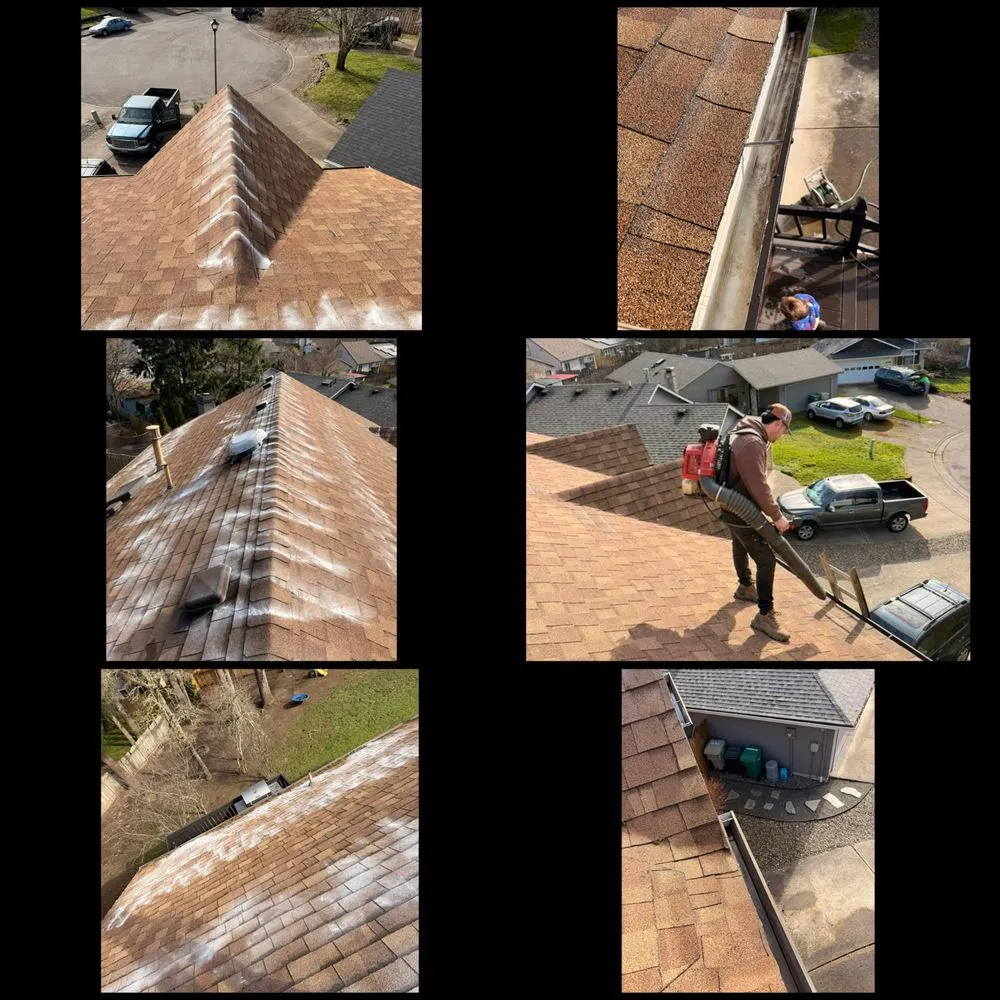 Custom residential landscaping experts serving Beaverton, OR - Maiki Cornejo Landscaping