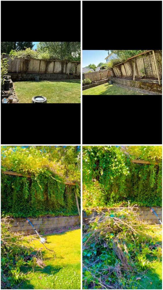 Professional lawn care service experts serving Beaverton, OR - Maiki Cornejo Landscaping