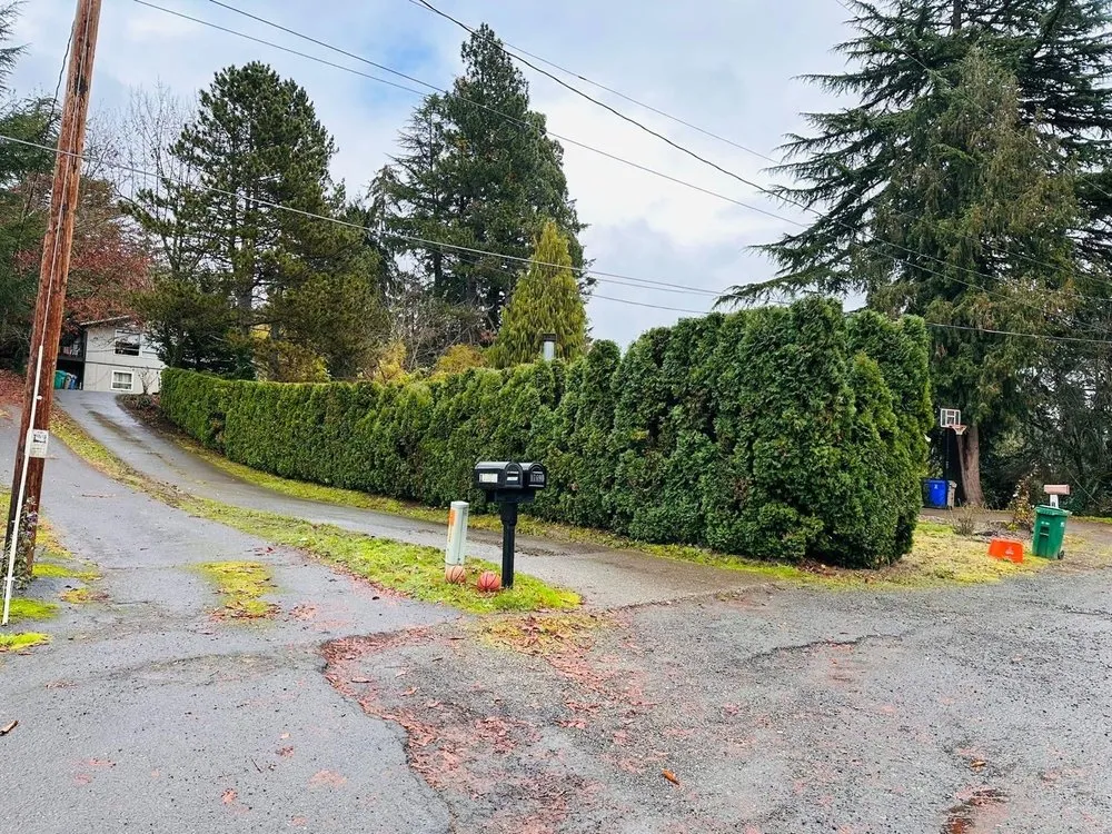 Affordable lawn care service for beautiful yards across Beaverton, OR - Maiki Cornejo Landscaping