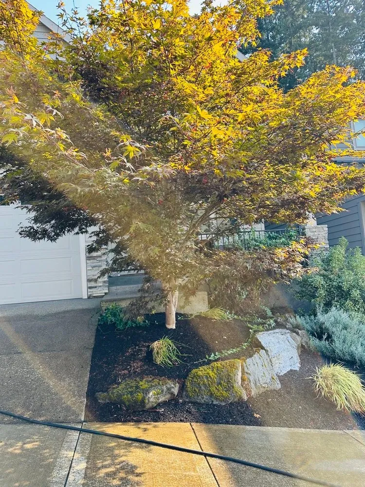 Expert residential landscaping with custom design in Beaverton, OR by Maiki Cornejo Landscaping