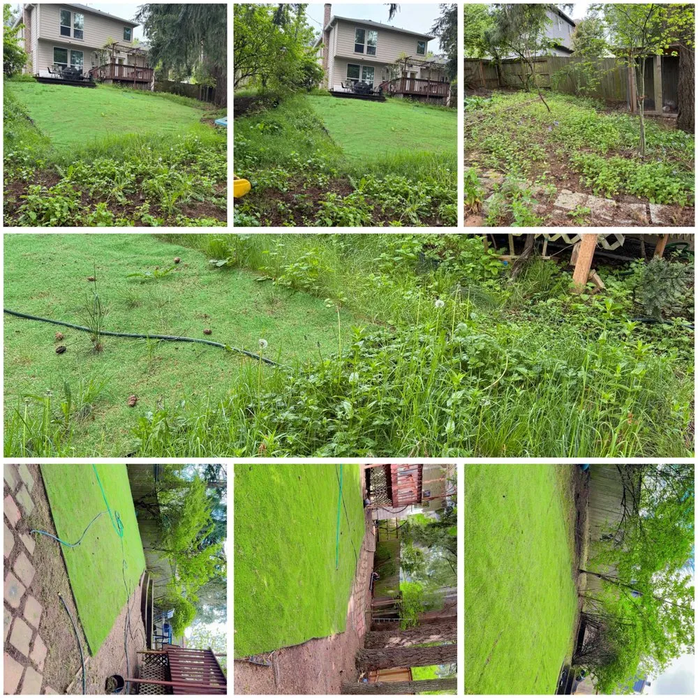 Professional yard maintenance with custom design across Beaverton, OR - Maiki Cornejo Landscaping