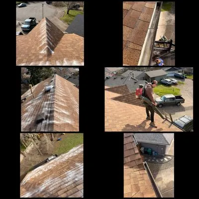 Maiki Cornejo Landscaping Logo