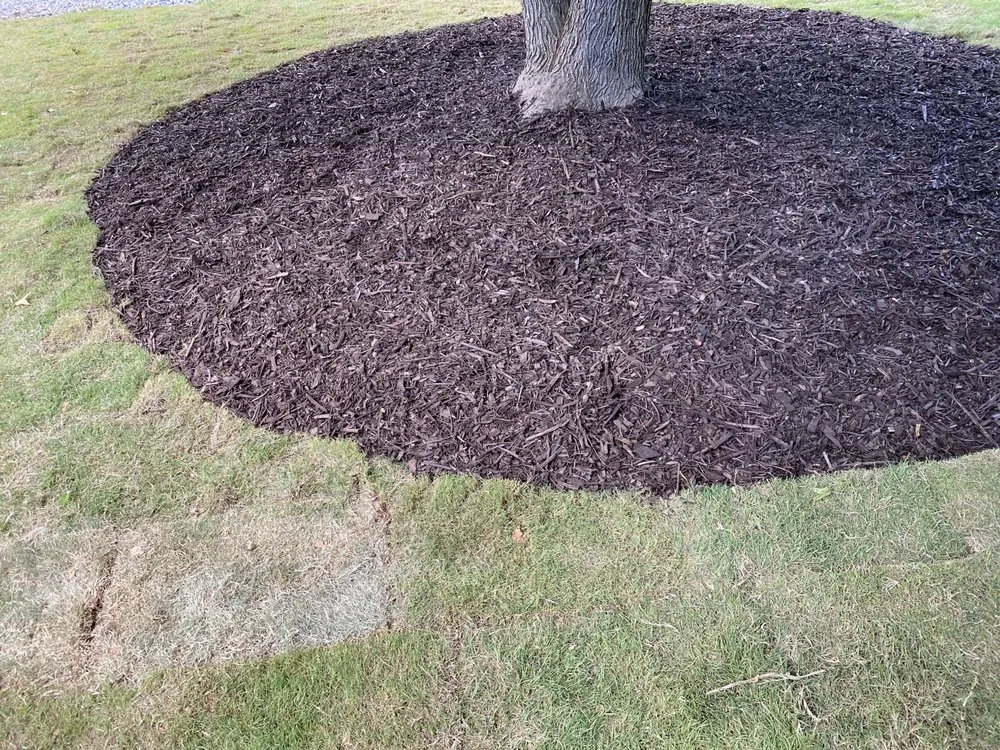 Professional garden landscaping in Bowdon, GA - Maiko Landscaping