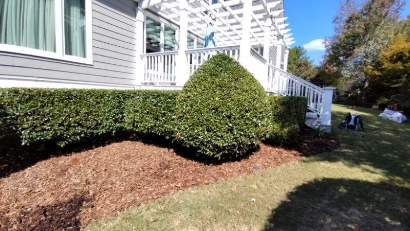 Professional landscape installation in Bowdon, GA by Maiko Landscaping