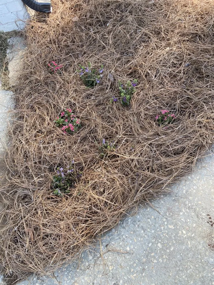 Expert landscape installation for beautiful yards in Bowdon, GA by Maiko Landscaping