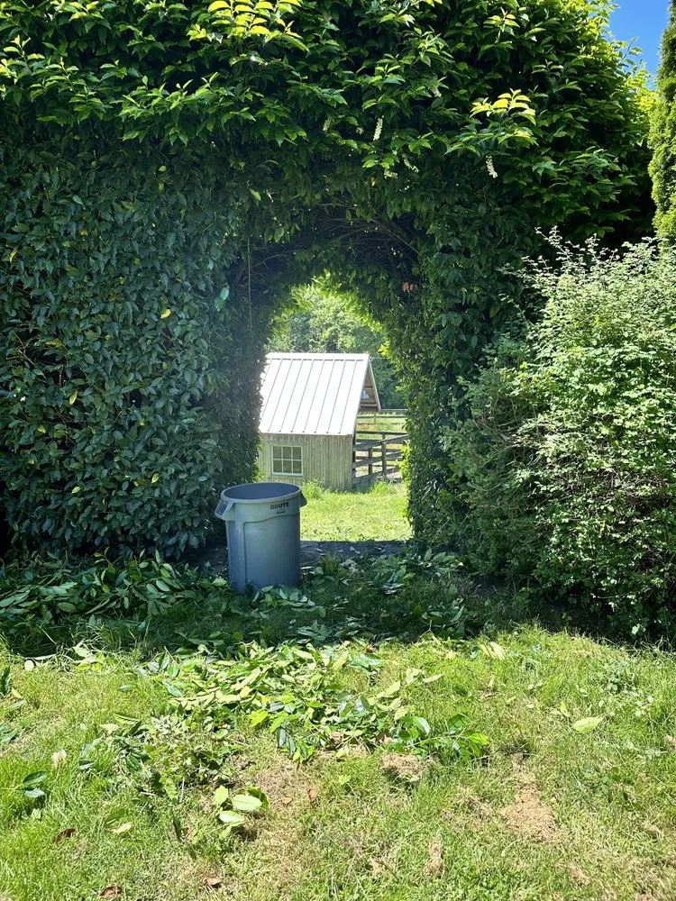 Trusted residential landscaping in Vancouver, WA - Mailen’s Professional Landscaping