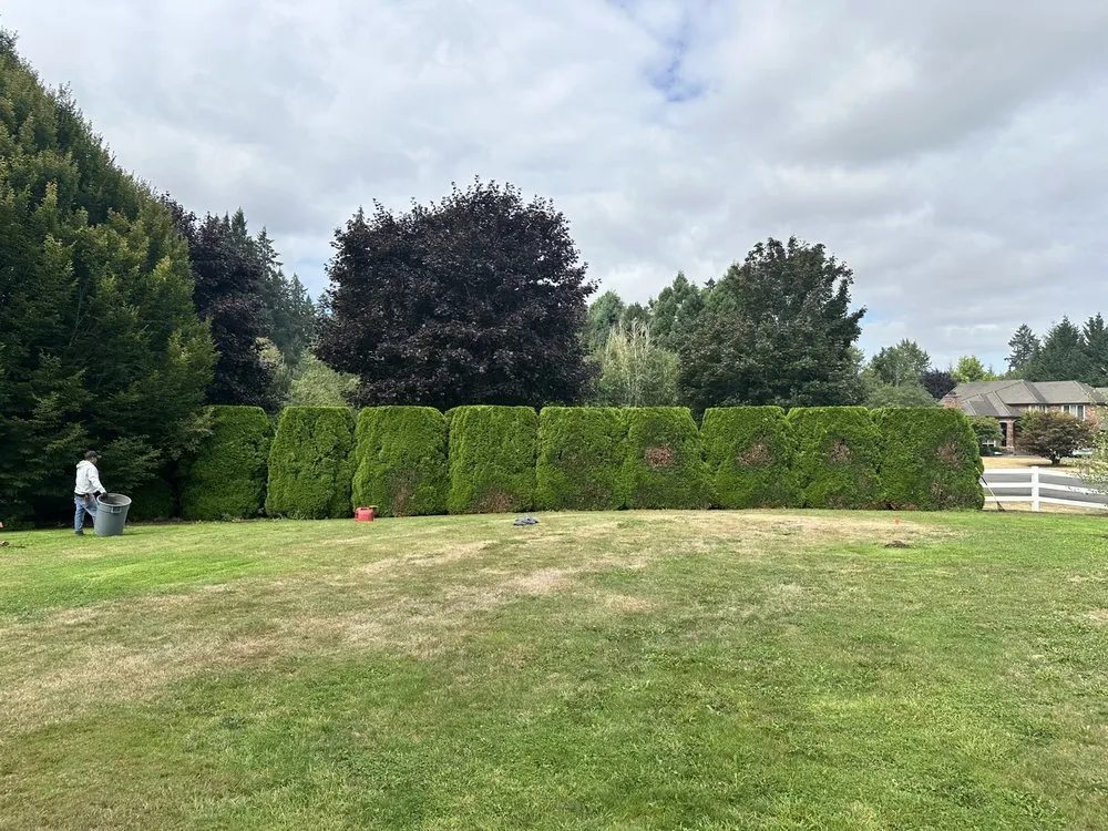 Professional lawn mowing service experts serving Vancouver, WA - Mailen’s Professional Landscaping