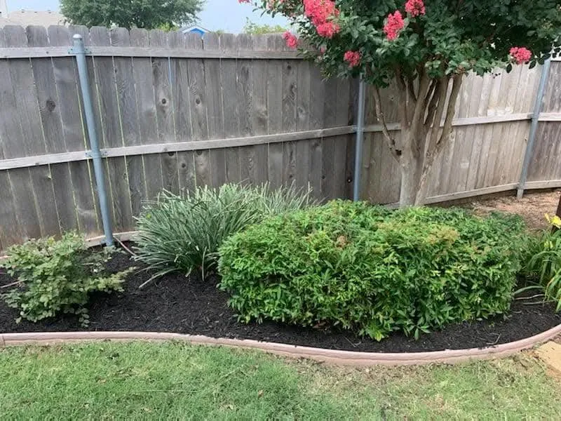 Professional lawn care service experts serving Keene, TX - Main Family Lawn Care