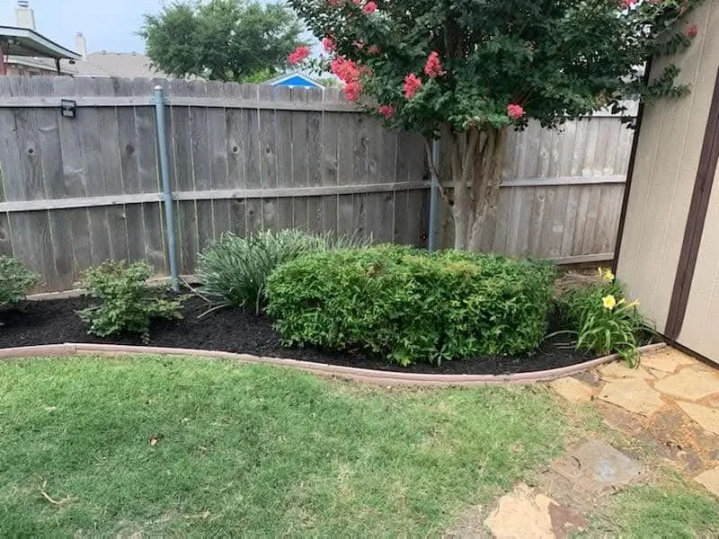 Top-rated yard maintenance experts serving Keene, TX - Main Family Lawn Care