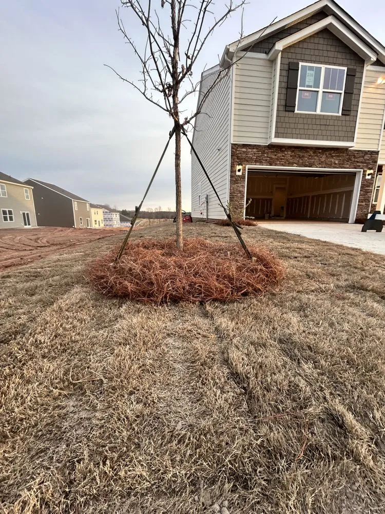 Custom landscape installation for residential properties in Charlotte, NC by Main Hills Landscaping
