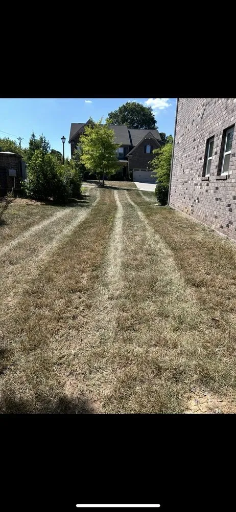 Local lawn care service for outdoor upgrades in Charlotte, NC by Main Hills Landscaping