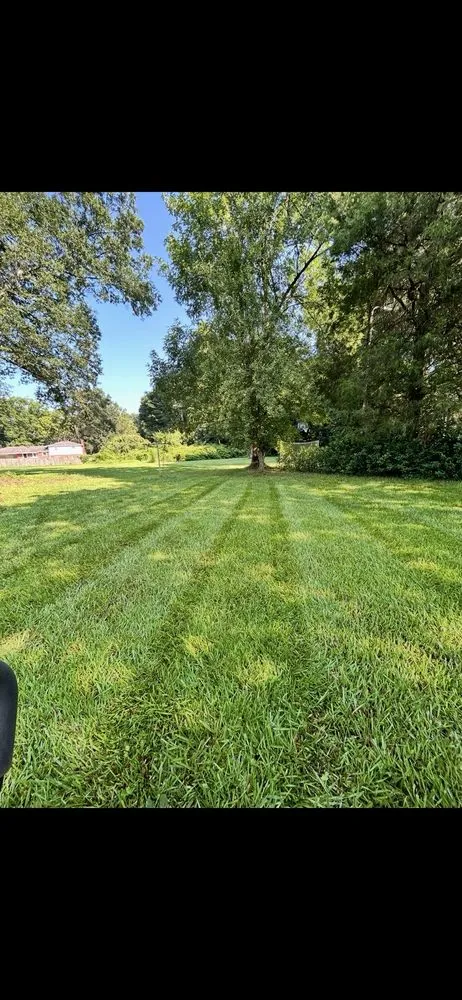 Trusted yard maintenance in Charlotte, NC - Main Hills Landscaping