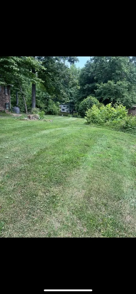 Affordable lawn mowing service for residential properties in Charlotte, NC by Main Hills Landscaping
