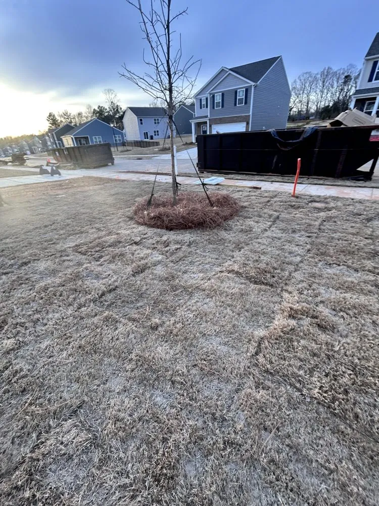 Trusted outdoor landscaping in Charlotte, NC - Main Hills Landscaping