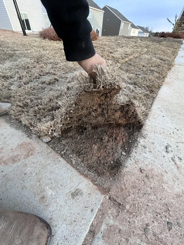 Local residential landscaping experts serving Charlotte, NC - Main Hills Landscaping