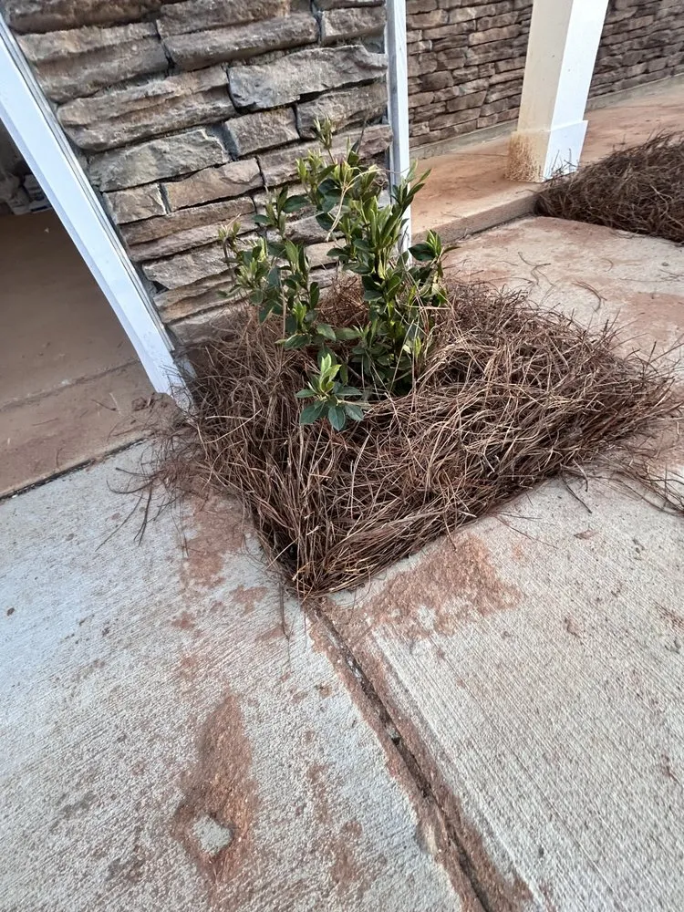 Trusted landscaping services for homes across Charlotte, NC - Main Hills Landscaping