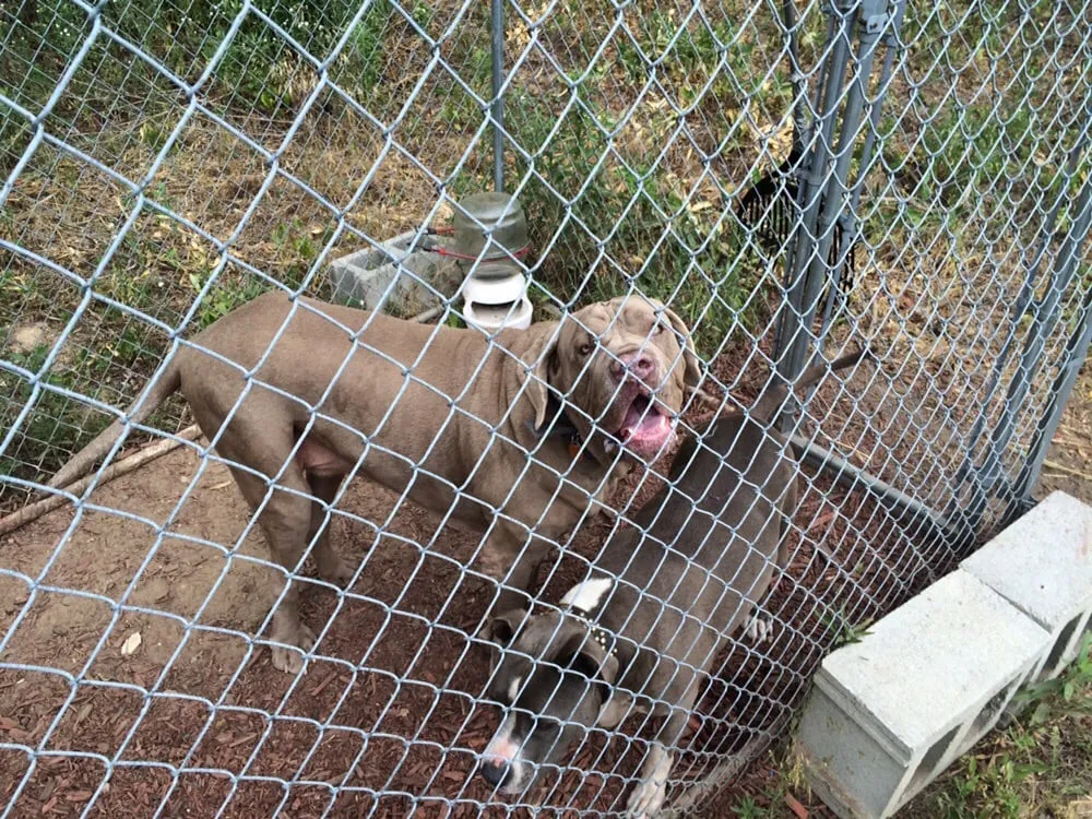 Custom landscape installation in Mason, MI - Main Lawn and Landscape