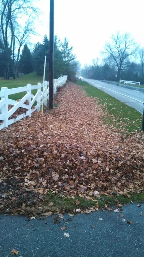 Top-rated lawn mowing service in Mason, MI by Main Lawn and Landscape