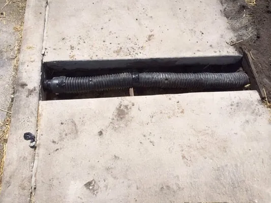 Main Lawn and Landscape