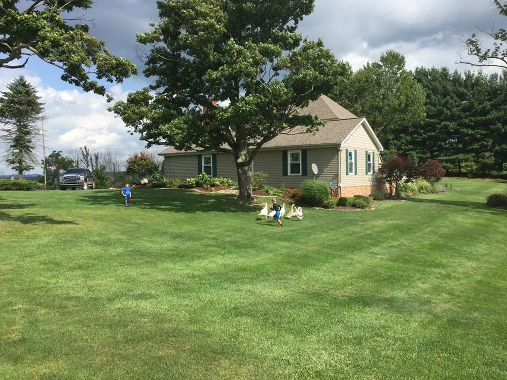 Local residential landscaping for homes in Buffalo Township, PA by Main Lawn Service