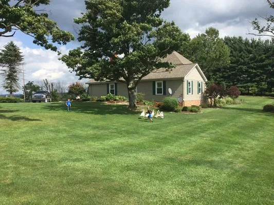 Main Lawn Service