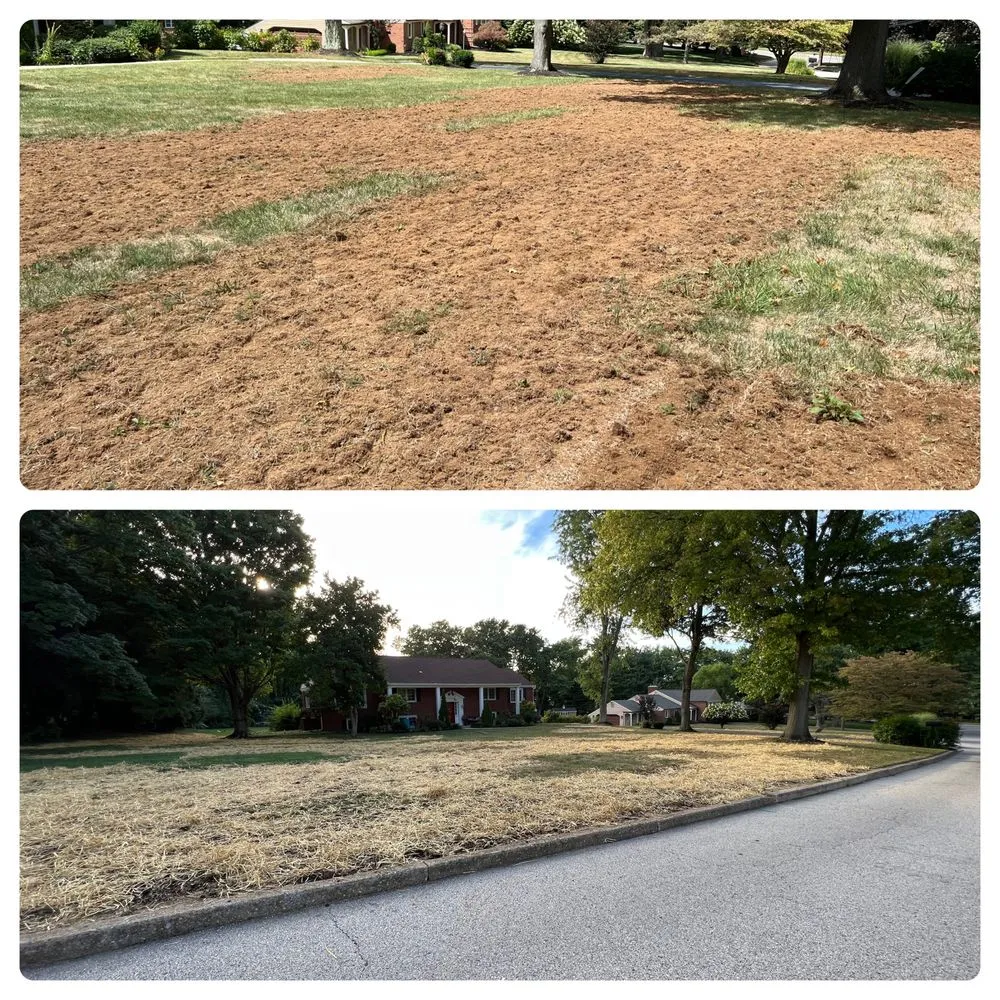 Top-rated landscaping services for homes in Devon, PA by Main Line Lawn & Landscaping