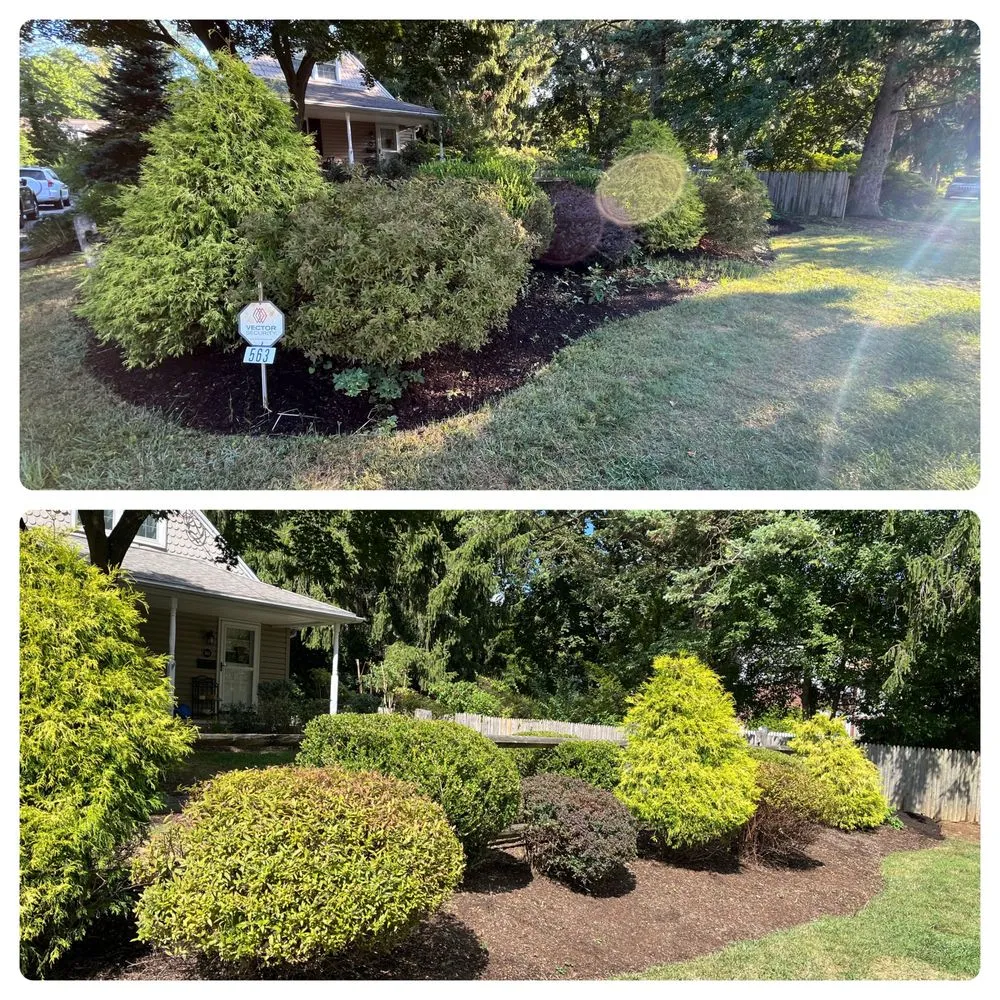 Professional lawn care service with custom design across Devon, PA - Main Line Lawn & Landscaping