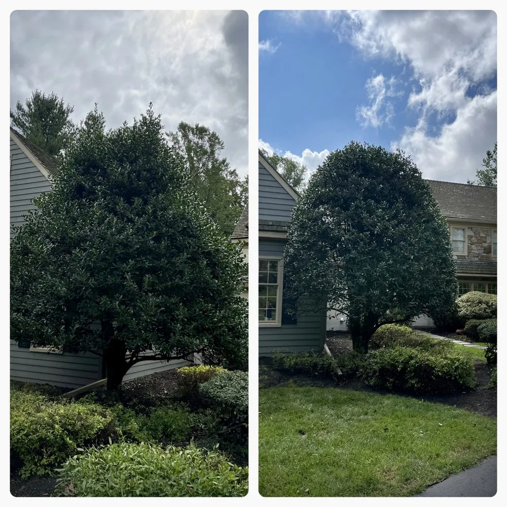 Local lawn mowing service experts serving Devon, PA - Main Line Lawn & Landscaping