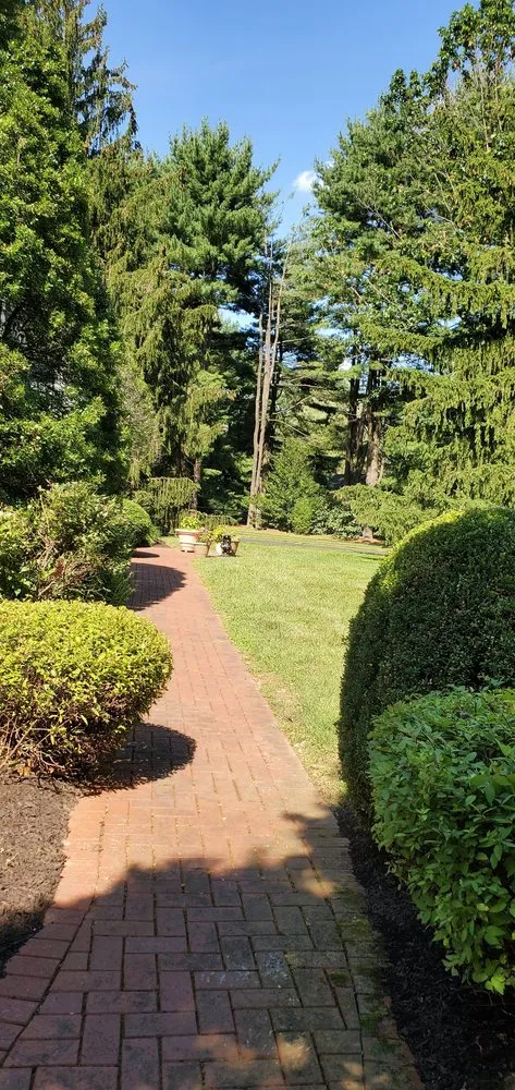 Top-rated yard cleanup service with custom design across Devon, PA - Main Line Lawn & Landscaping
