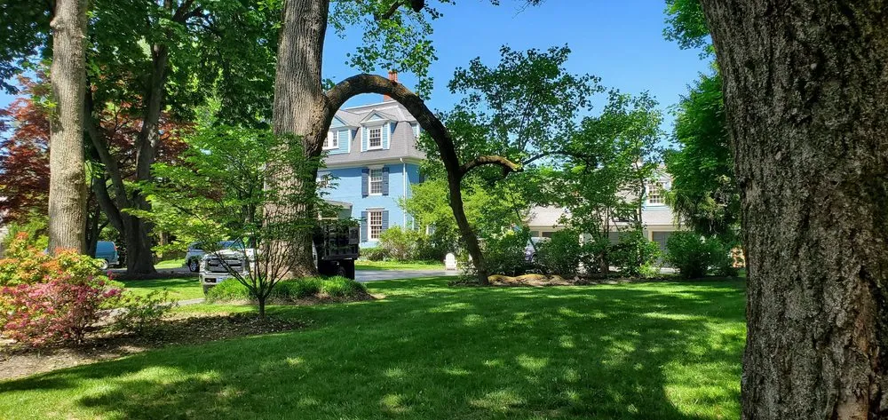 Affordable landscaping services in Devon, PA - Main Line Lawn & Landscaping