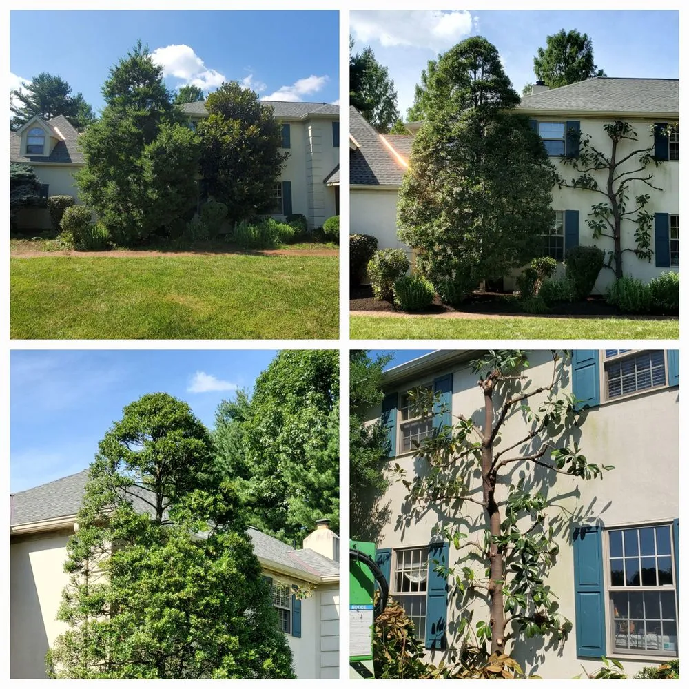 Custom landscape design experts serving Devon, PA - Main Line Lawn & Landscaping