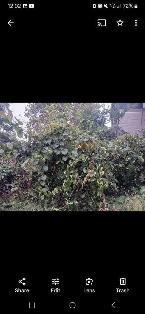 Reliable yard cleanup service for outdoor upgrades across Pittsburgh, PA - Main St Landscaping