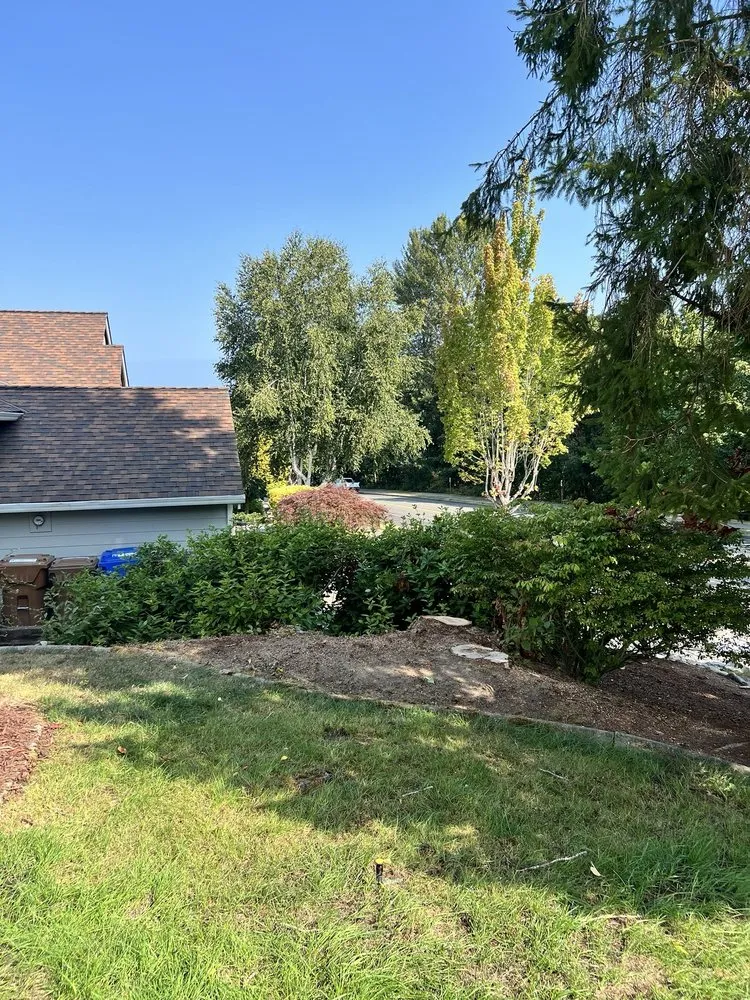 Top-rated landscape installation in Gig Harbor, WA by Main Stem Landscaping & Tree Services