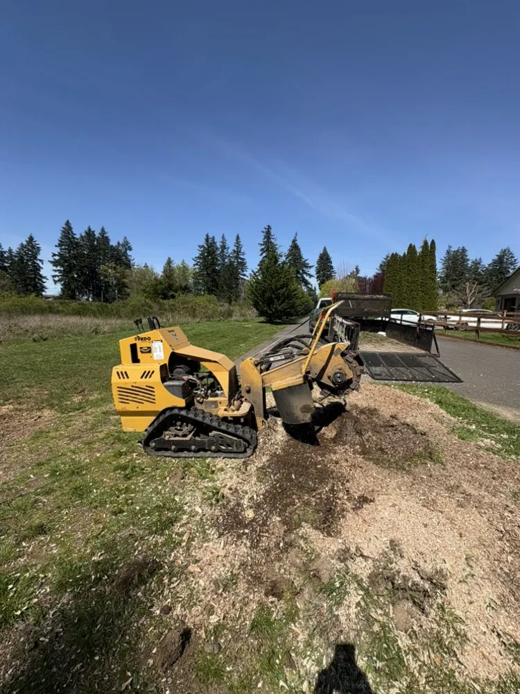 Affordable landscape design for beautiful yards across Gig Harbor, WA - Main Stem Landscaping & Tree Services