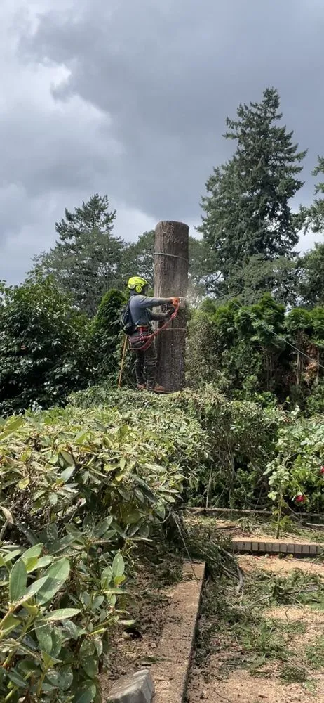 Professional yard maintenance with custom design in Gig Harbor, WA by Main Stem Landscaping & Tree Services