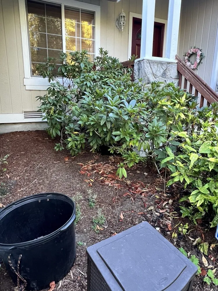 Professional landscape installation experts serving Gig Harbor, WA - Main Stem Landscaping & Tree Services