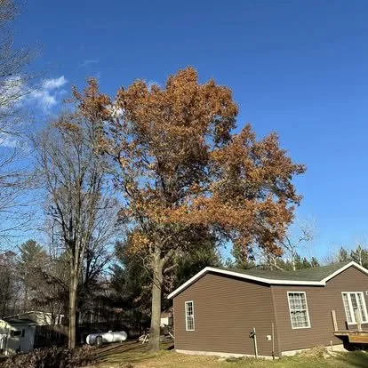 Professional garden landscaping in Milladore, WI by Main Street Lawn & Tree