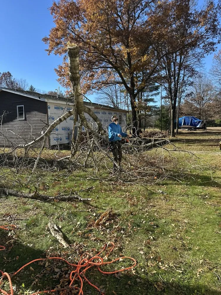 Trusted lawn care service in Milladore, WI - Main Street Lawn & Tree