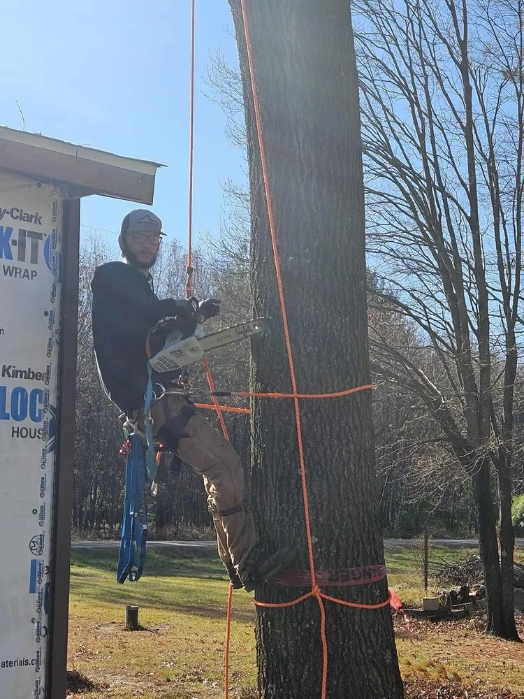 Trusted residential landscaping for residential properties across Milladore, WI - Main Street Lawn & Tree