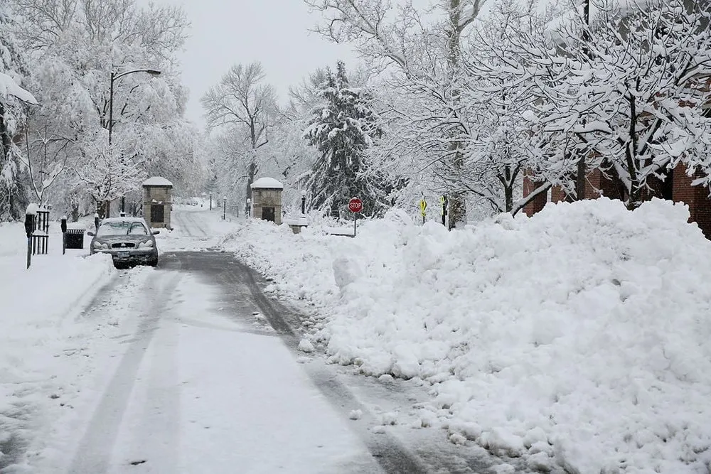 Professional garden landscaping in Milladore, WI by Main Street Lawn & Tree