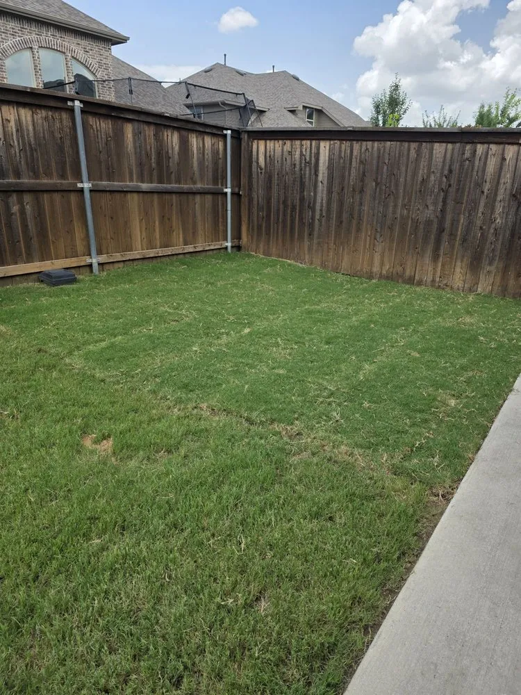 Affordable yard maintenance for beautiful yards across Frisco, TX - Main Street Lawn Care and Landscaping