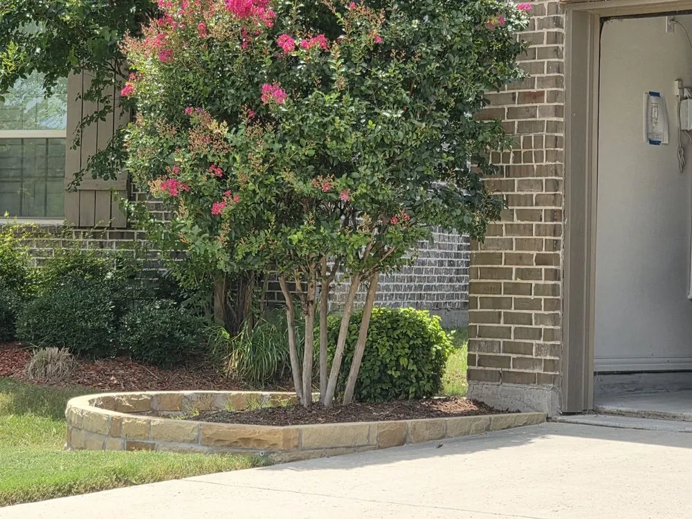 Top-rated garden landscaping in Frisco, TX - Main Street Lawn Care and Landscaping