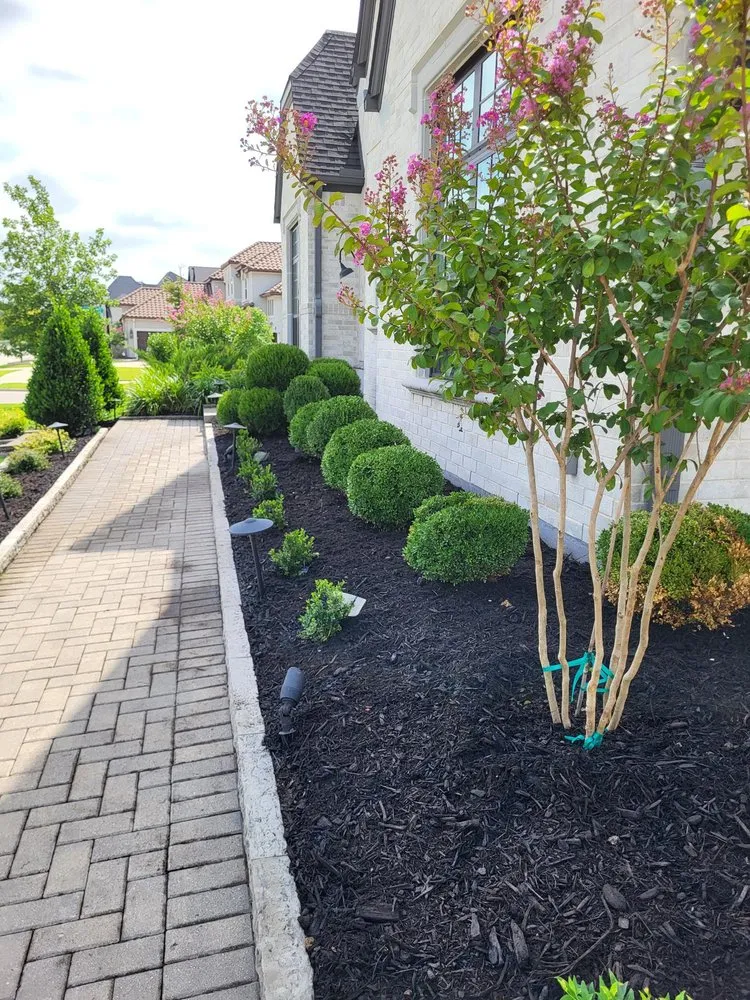 Custom landscape installation in Frisco, TX by Main Street Lawn Care and Landscaping