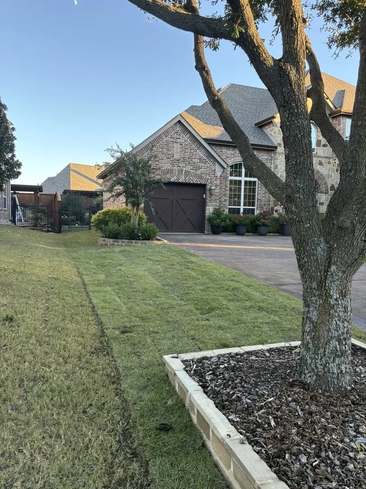Professional landscaping services near you in Frisco, TX by Main Street Lawn Care and Landscaping