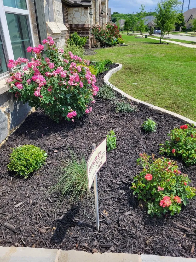 Local outdoor landscaping in Frisco, TX - Main Street Lawn Care and Landscaping