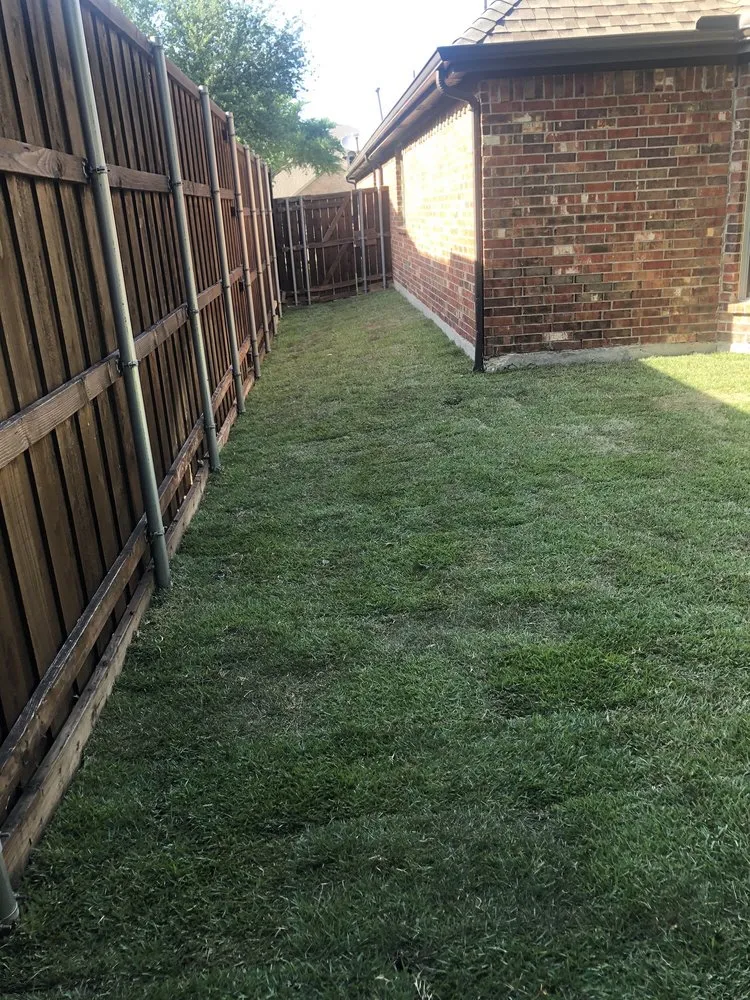 Professional garden landscaping in Frisco, TX by Main Street Lawn Care and Landscaping