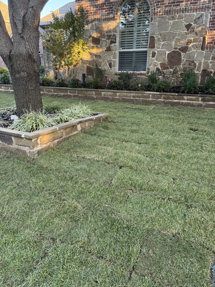 Local residential landscaping for residential properties in Frisco, TX by Main Street Lawn Care and Landscaping