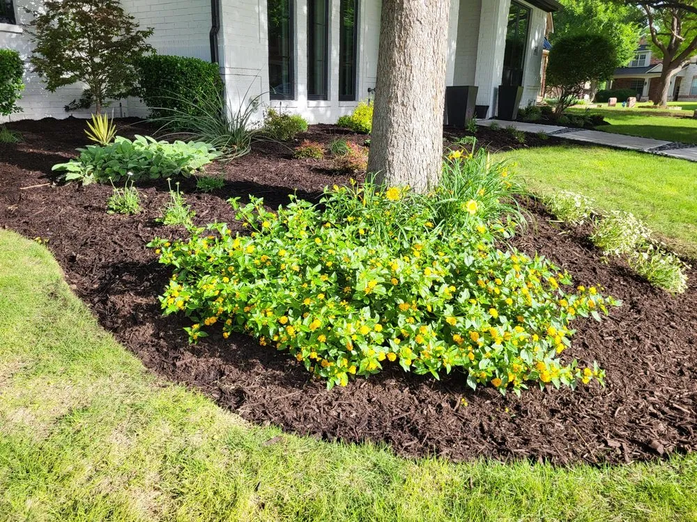 Affordable yard maintenance with custom design in Frisco, TX by Main Street Lawn Care and Landscaping